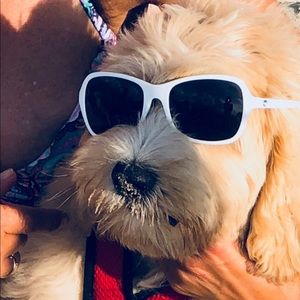 Meet your Posher, Liliana